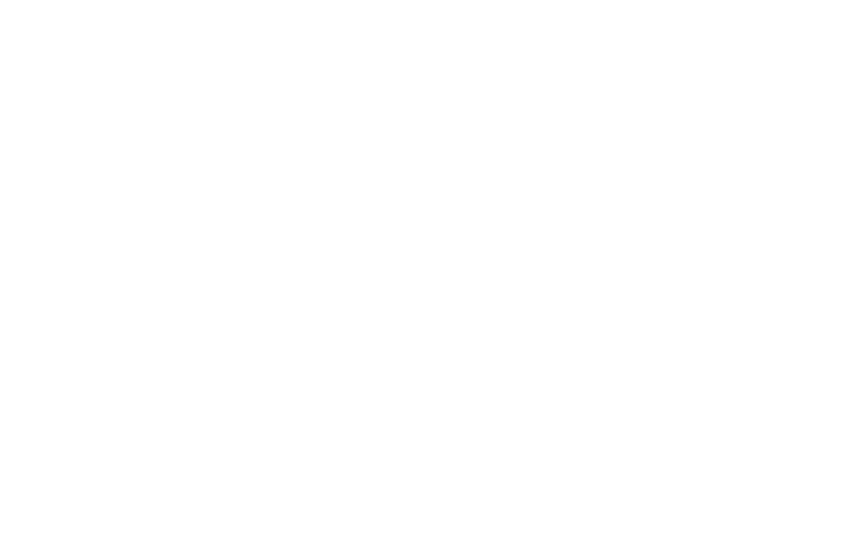 OFFICIAL%20SELECTION%20 %20LOS%20ANGELES%20BRAZILIAN%20FILM%20FESTIVAL%202%20-%202019
